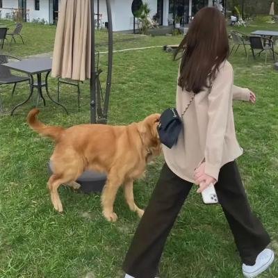 离恨歌